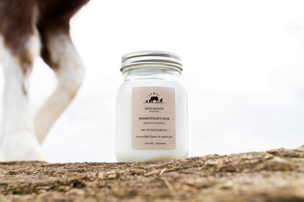 Ranch Candle Duo Deal