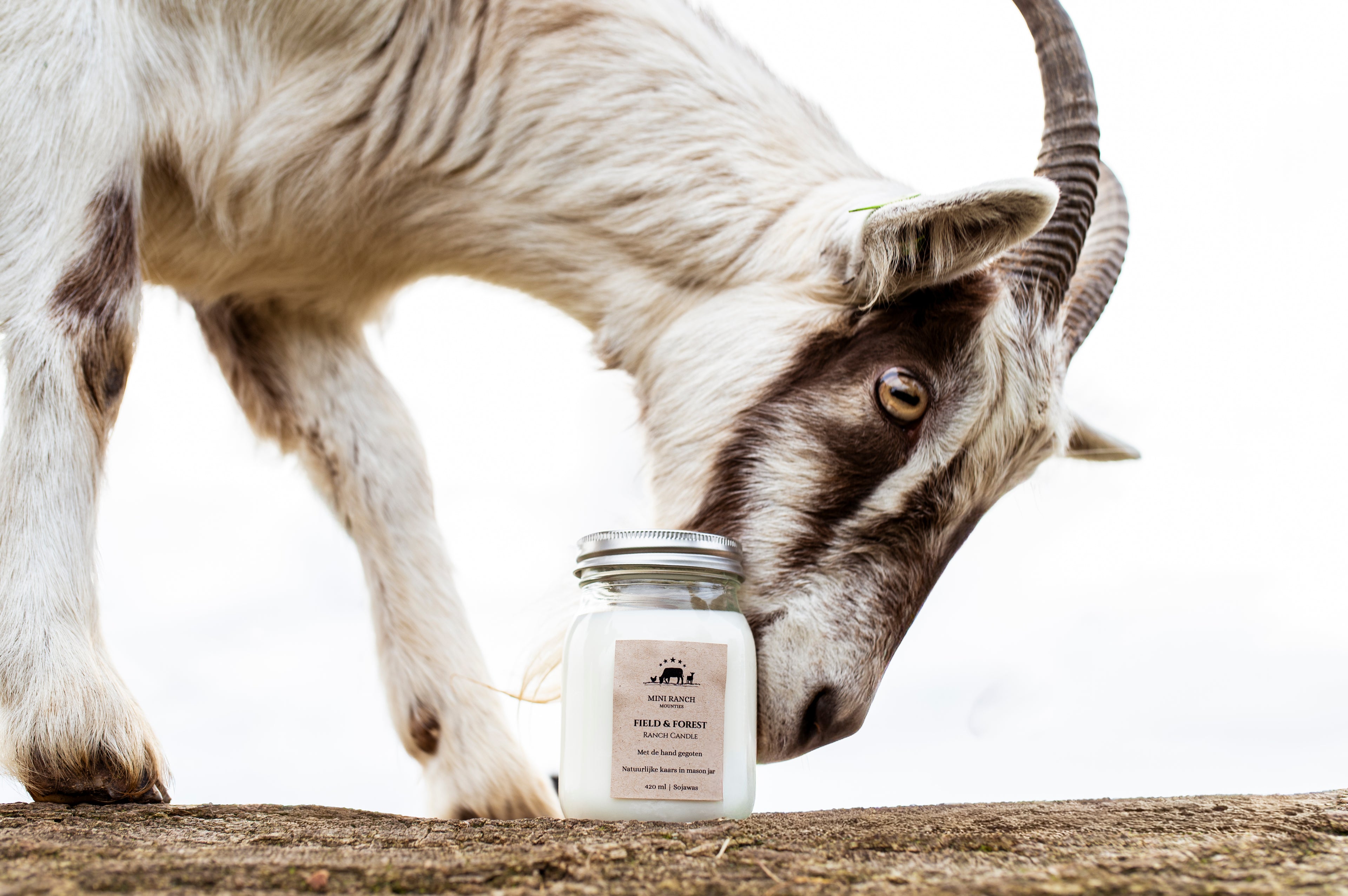 Ranch Candle Field & Forest